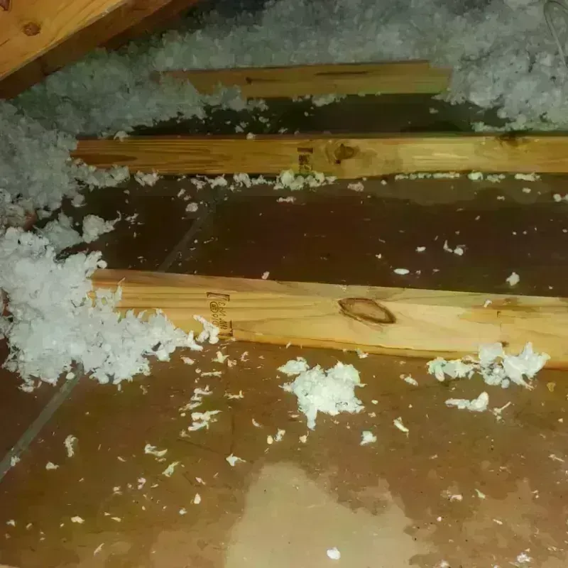 Attic Water Damage in Coralville, IA