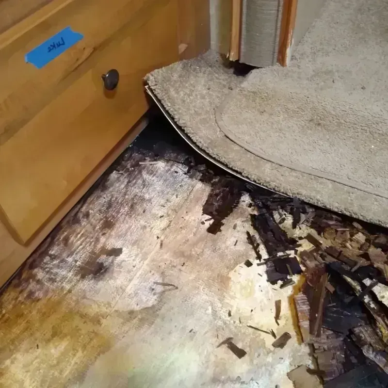 Wood Floor Water Damage in Coralville, IA